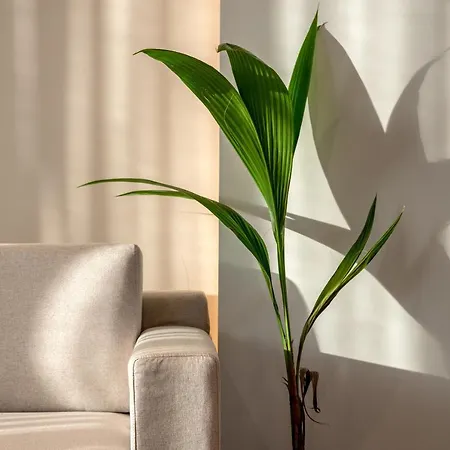 Soleado Chania Rooftop Heated Pool Villa *