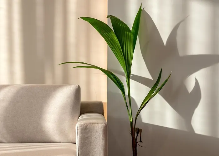 Soleado Chania Rooftop Heated Pool Βίλα *